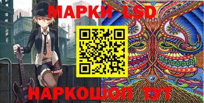 ешки Сланцы